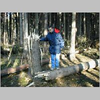 Ulomen� strom, pohled na sever