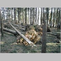 Pohled na SV