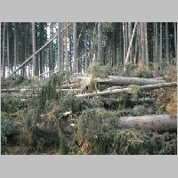 Spadan� stromy, pohled na ZSZ